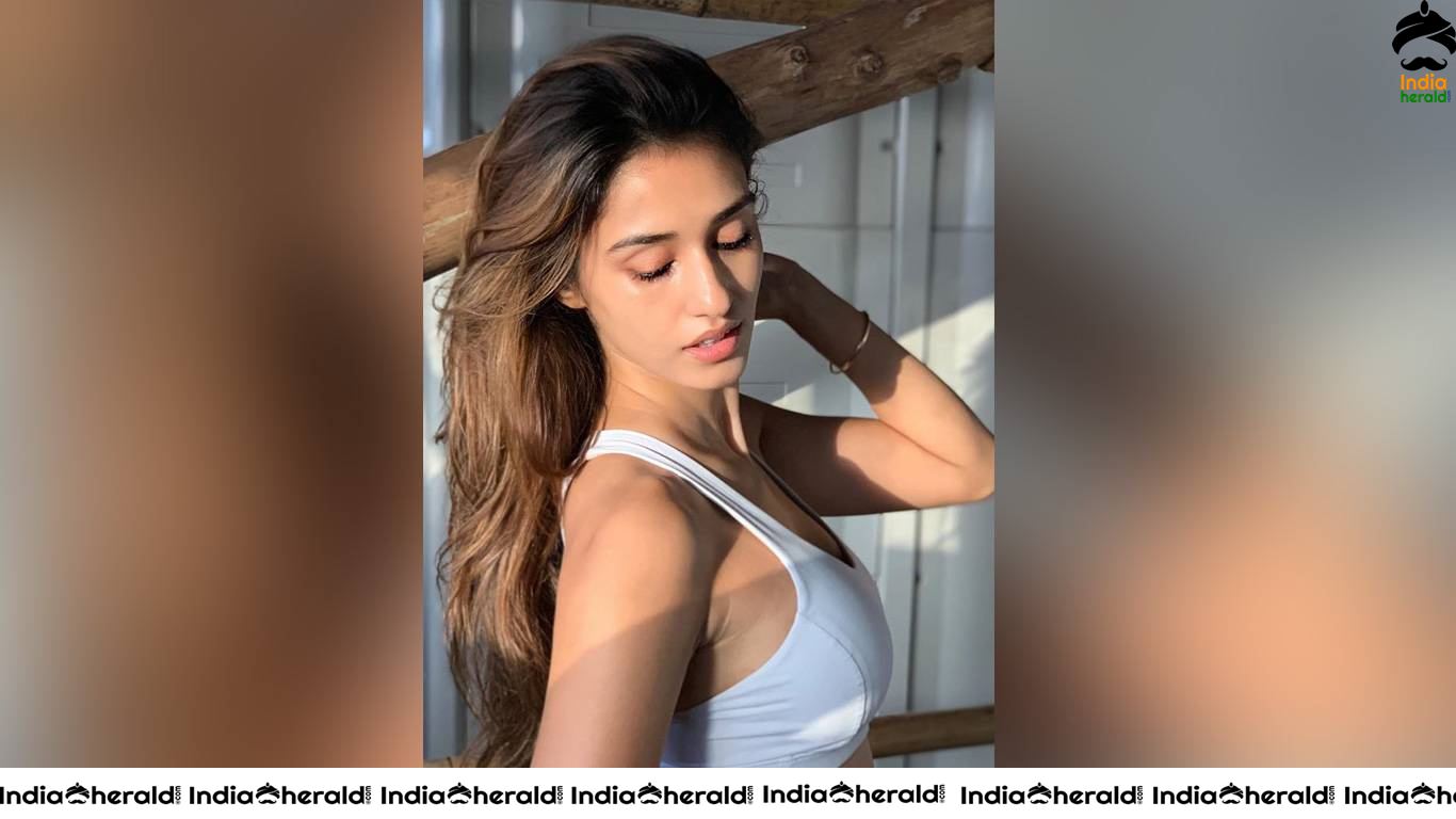 Disha Patani Hot Calvin Klein Inner Wear Wallpapers