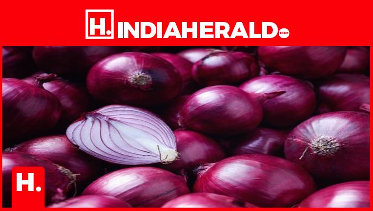 India S Onion Export Ban Continues Indefinitely