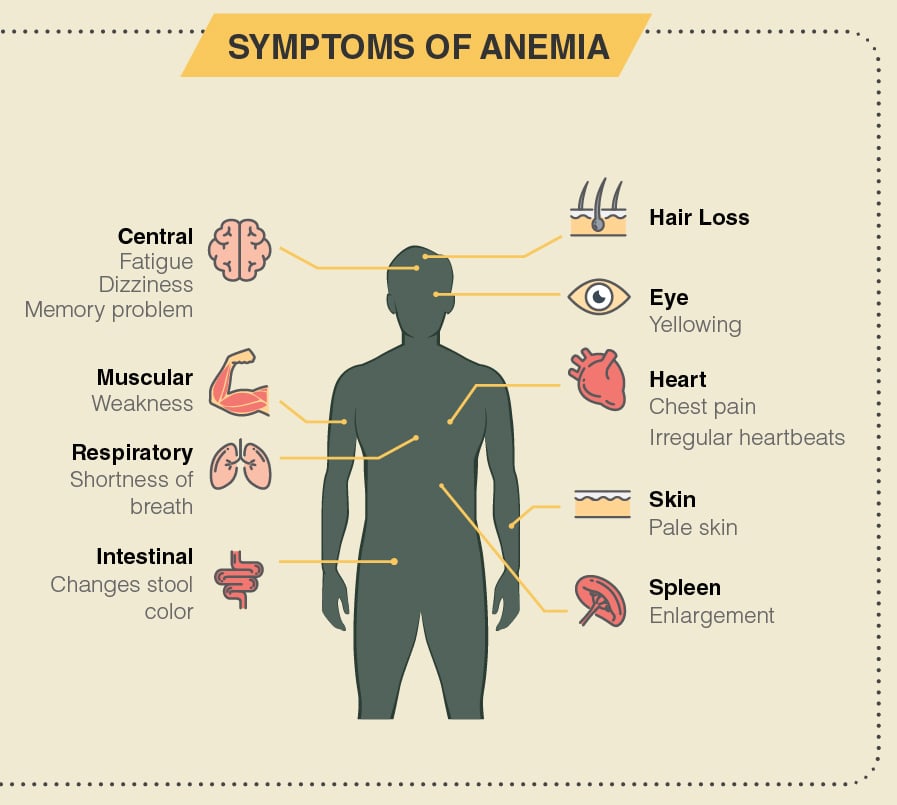 Anemia Causes Many Problems 3720