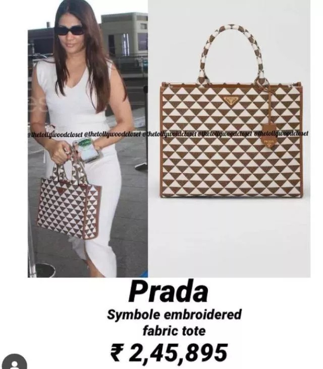 Actress Trisha Hand Bag Collections From Louis Vuitton