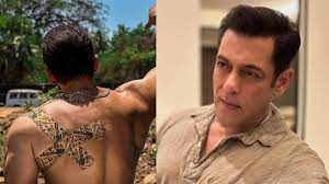 Salman Hd Xx Download - Salman Khan got hurt fans worried...