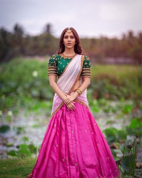 Nabha Natesh latest Traditional Photos