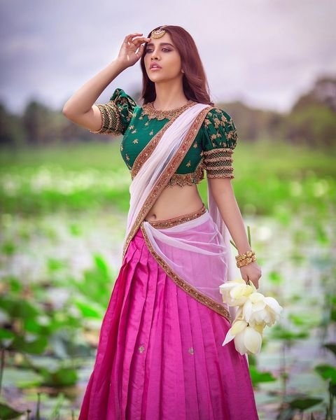 Nabha Natesh latest Traditional Photos