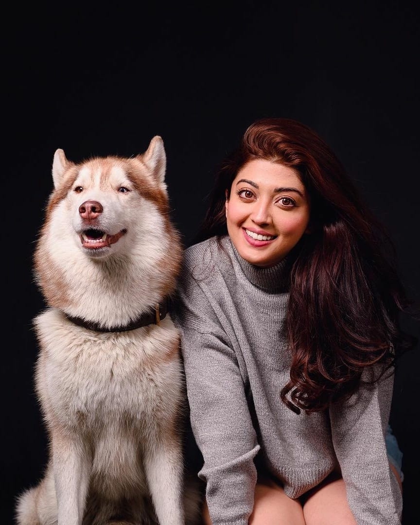 Pranitha Subhash New Photos Shoot