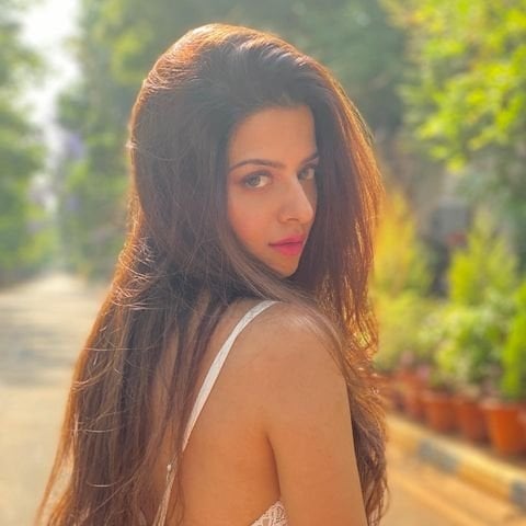 Vedhika latest Photos Collection