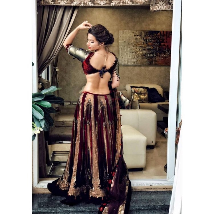 Actress Shama Sikander Hot Images