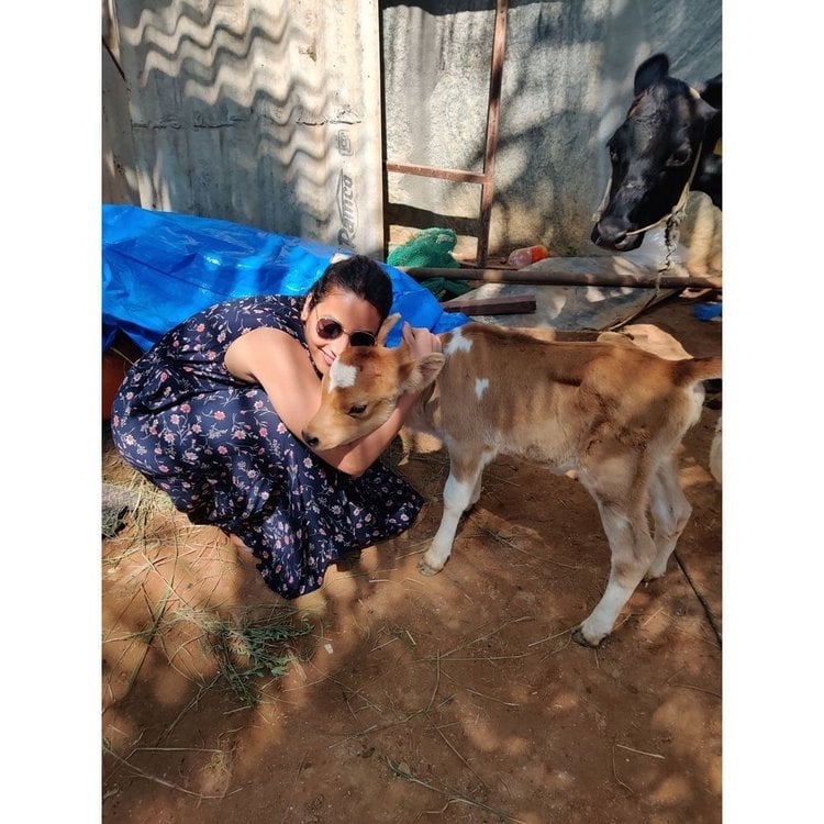 Actress Srinidhi Shetty Latest Images With her Puppy