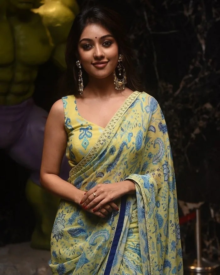 Anu Emmanuel Hot Photos Shoot In Saree