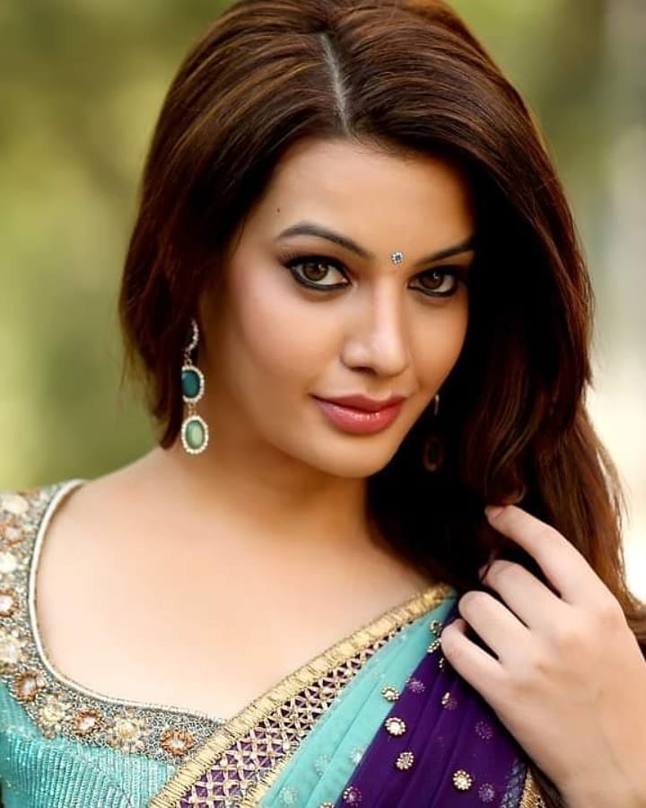 Dikshapanth Latest Photos In Saree