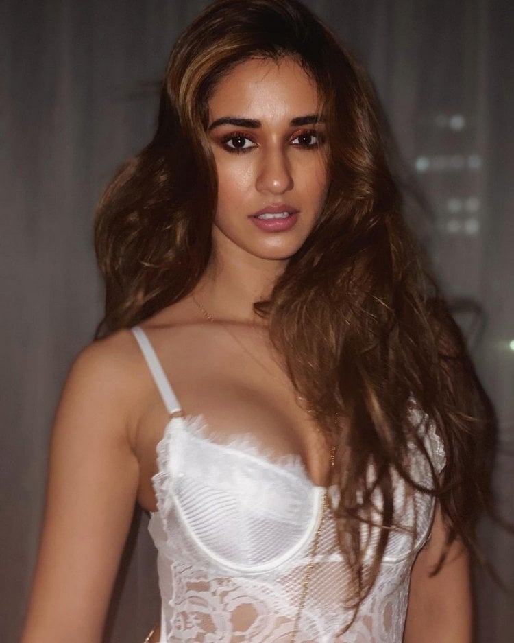 Disha Patani Latest Photos Collection