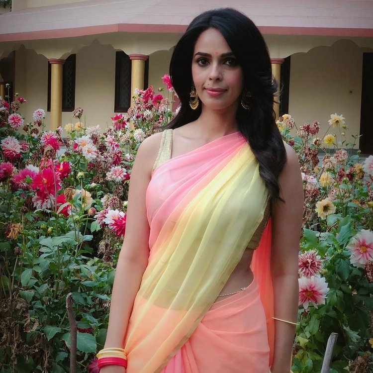 Mallika Sherawat New Stills Gallery