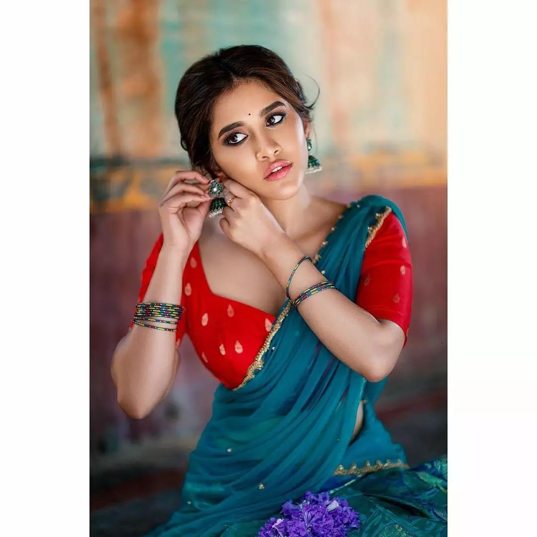 Nabha Natesh New Clicks In Traditional Look