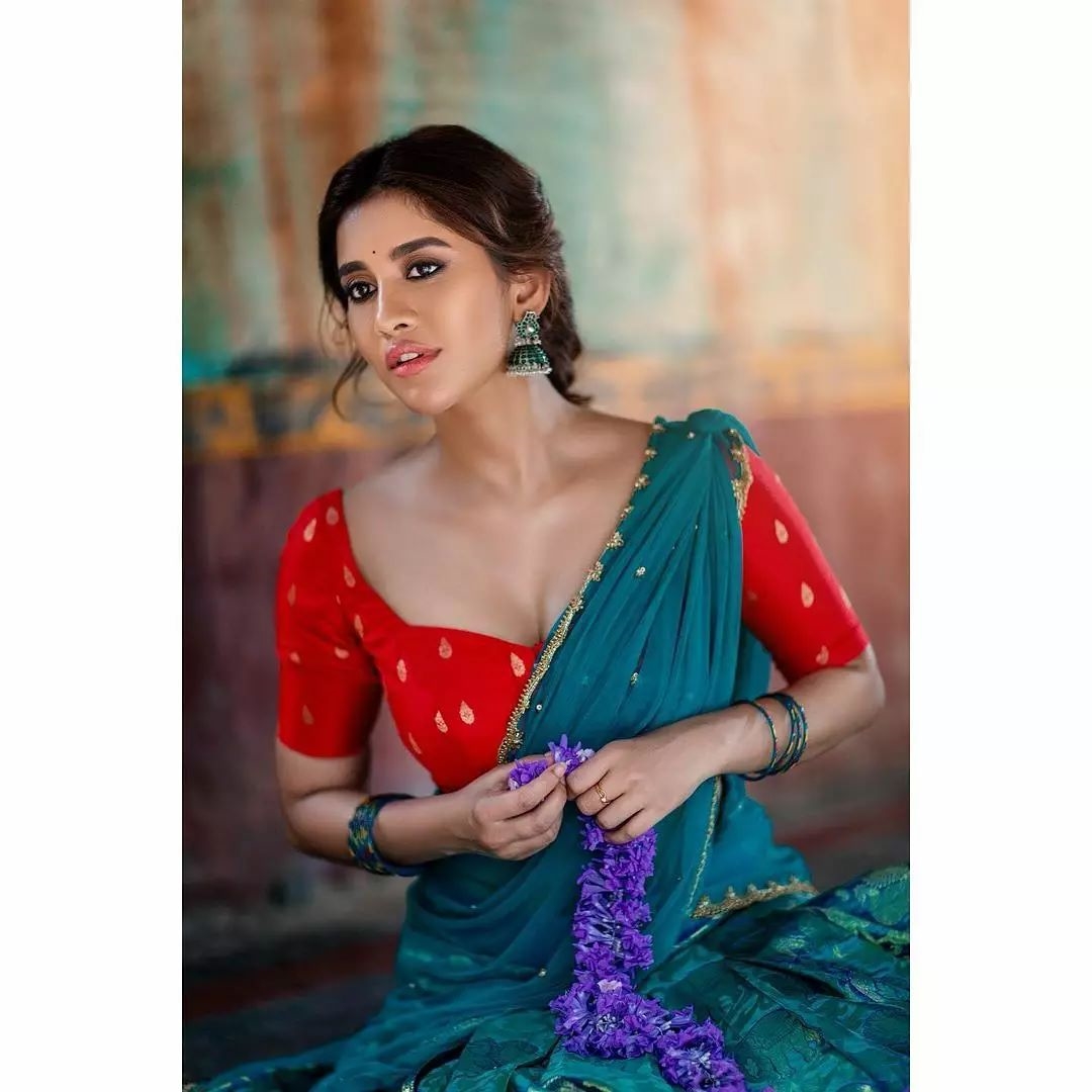 Nabha Natesh New Clicks In Traditional Look