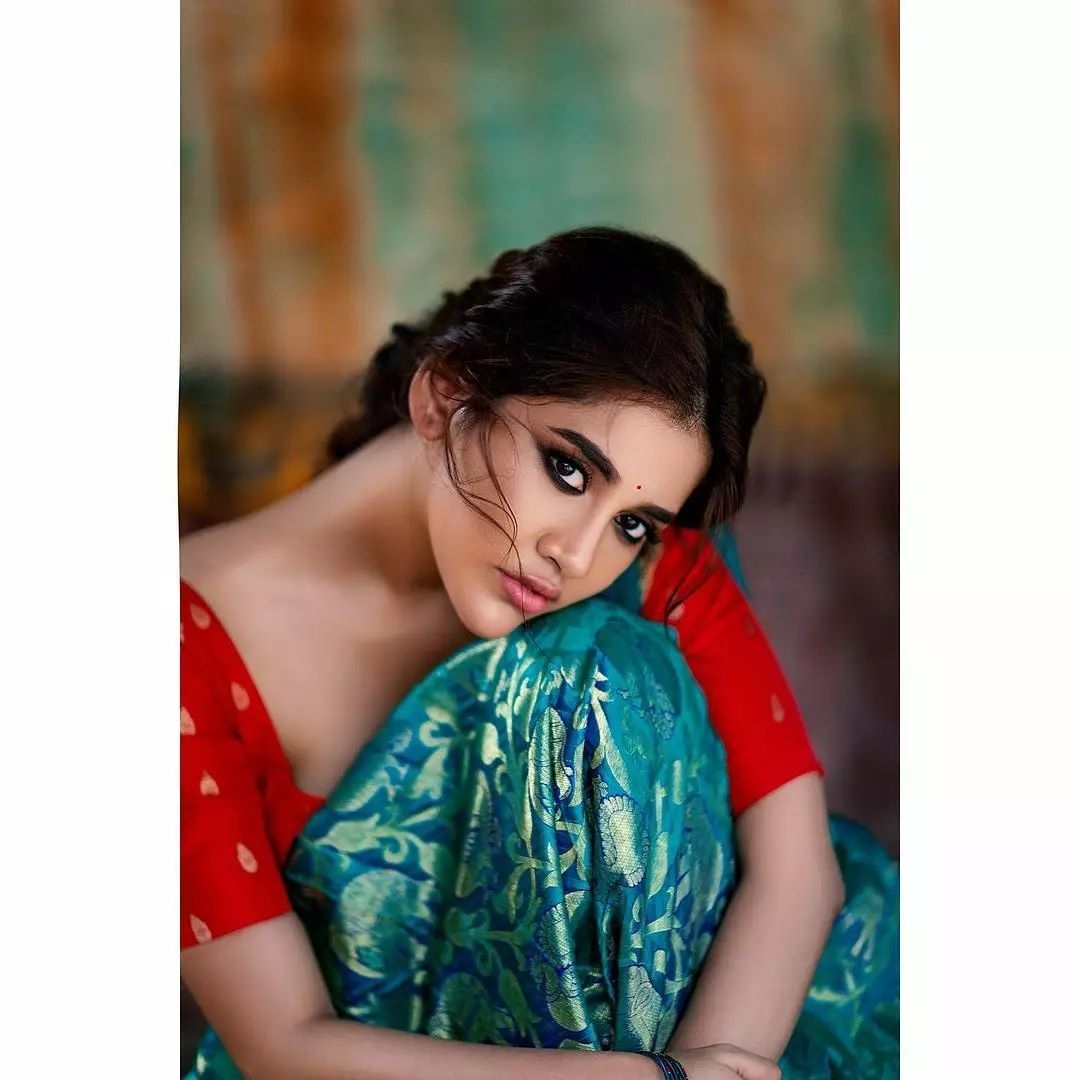 Nabha Natesh New Clicks In Traditional Look