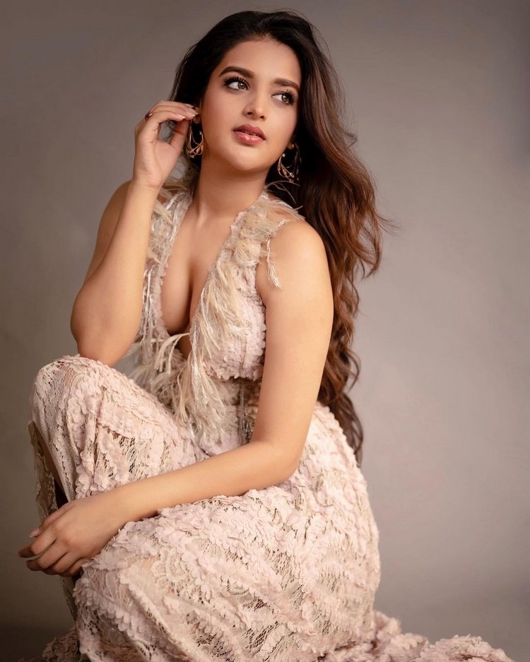 Nidhhi Agerwal Amazing Photos