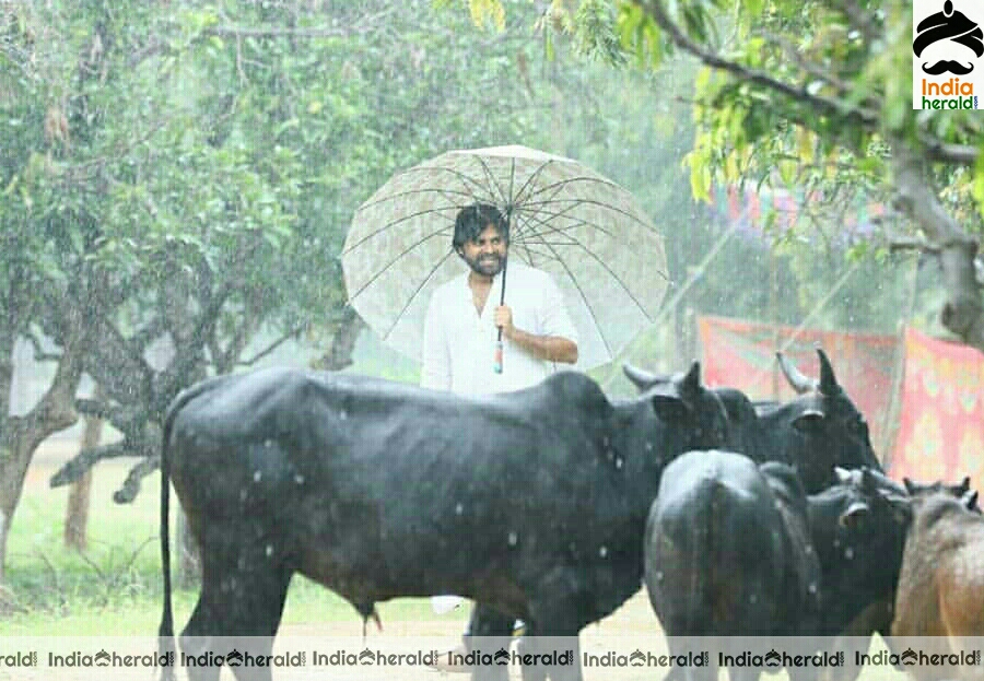 Janasena Cheif Pawan Kalyan Vana Rakshana Campaign Launch Stills