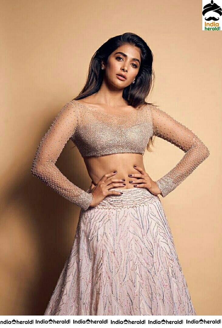 Actress Pooja Hegde Shows Her Sexy Waist Line Stills From Cinemohotsavam