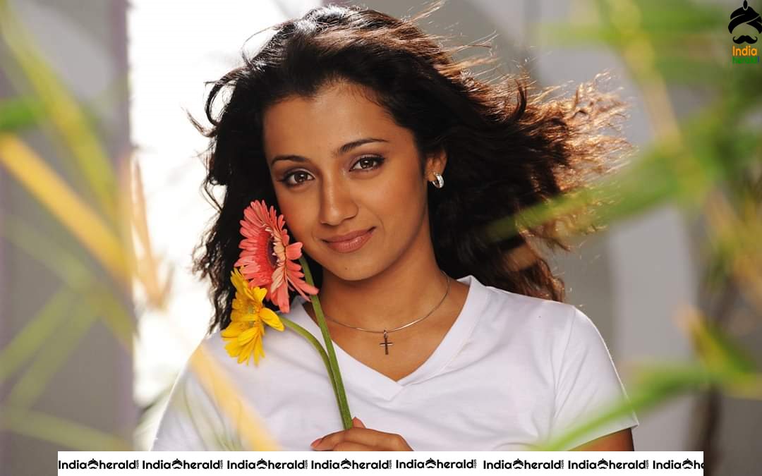 Actress Trisha Photos as Jessie fromVinnaithaandi Varuvaayaa Set 2