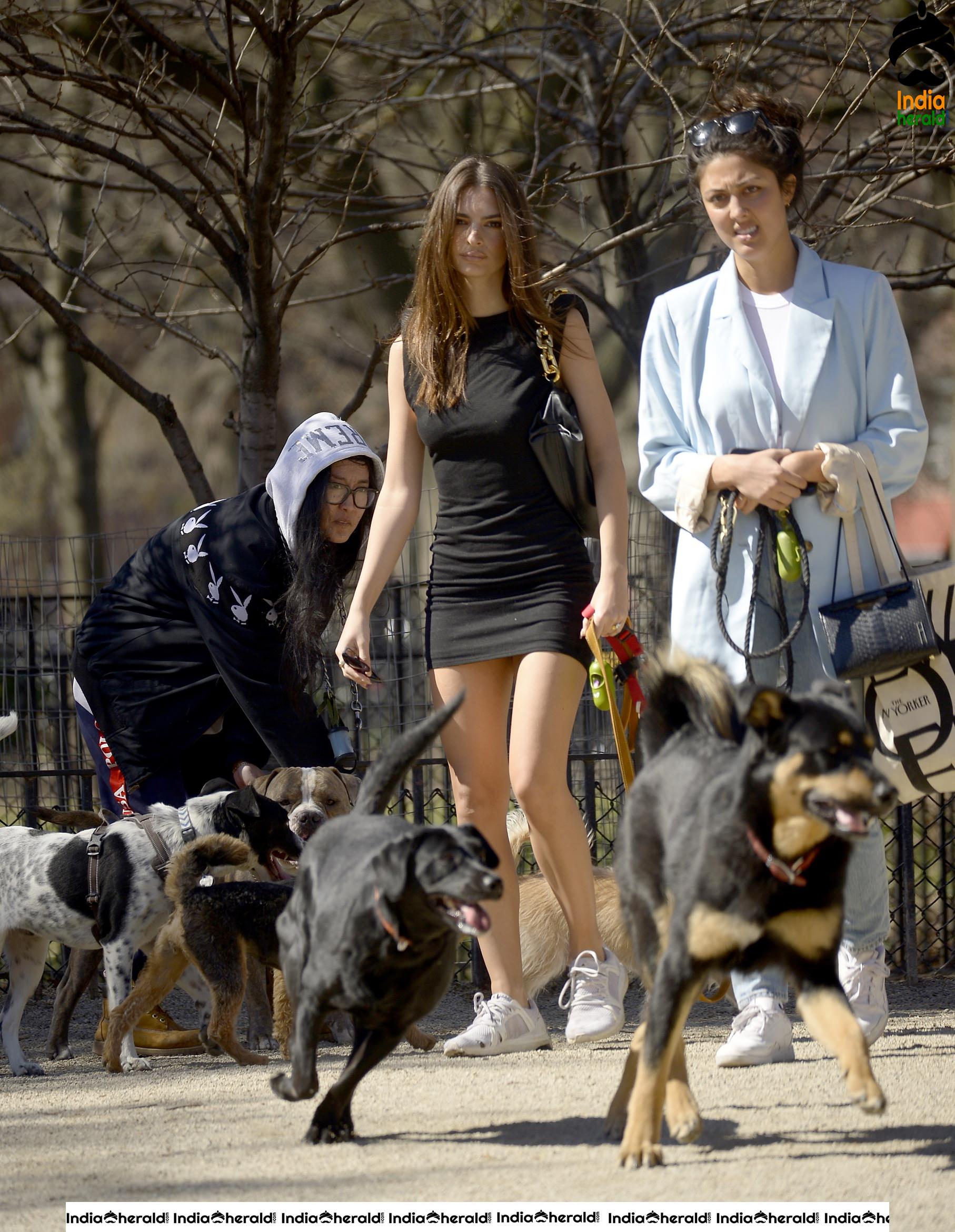 Emily Ratajkowski caught by Paparazzi while walking her dog in NYC Set 1