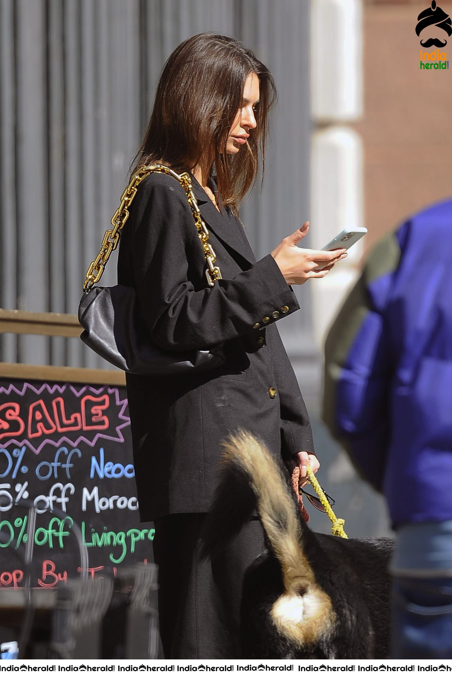 Emily Ratajkowski caught by Paparazzi while walking her dog in NYC Set 1