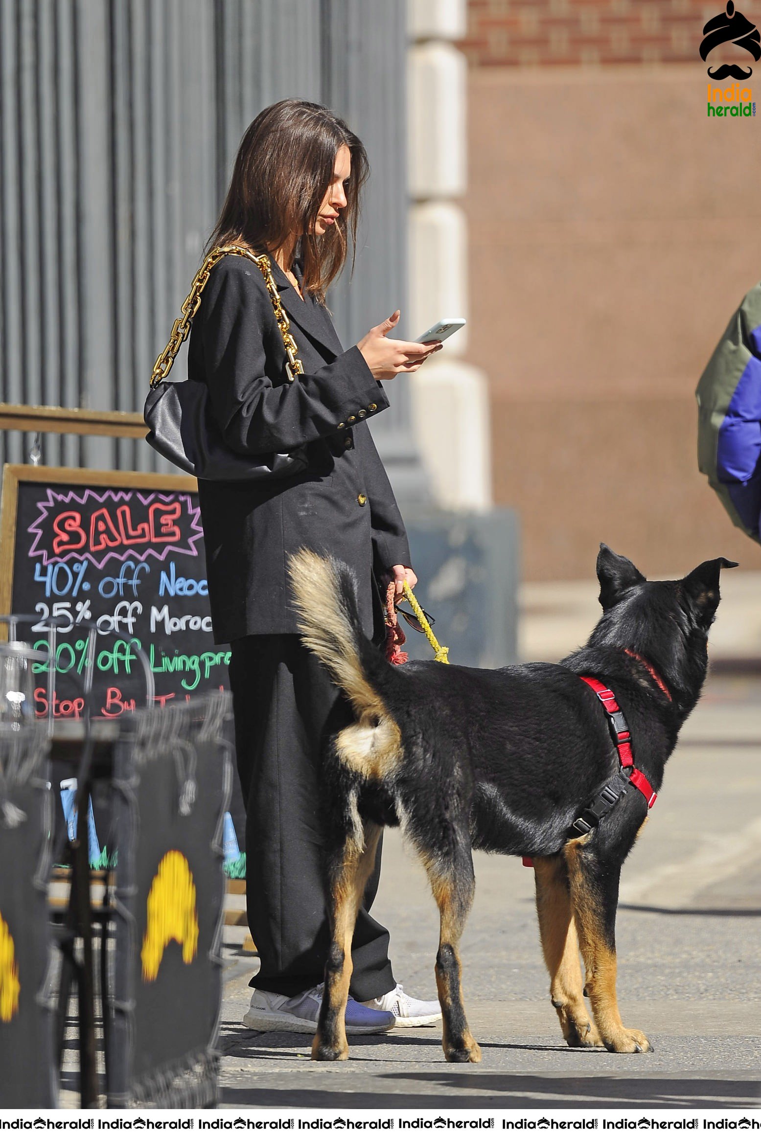 Emily Ratajkowski caught by Paparazzi while walking her dog in NYC Set 2