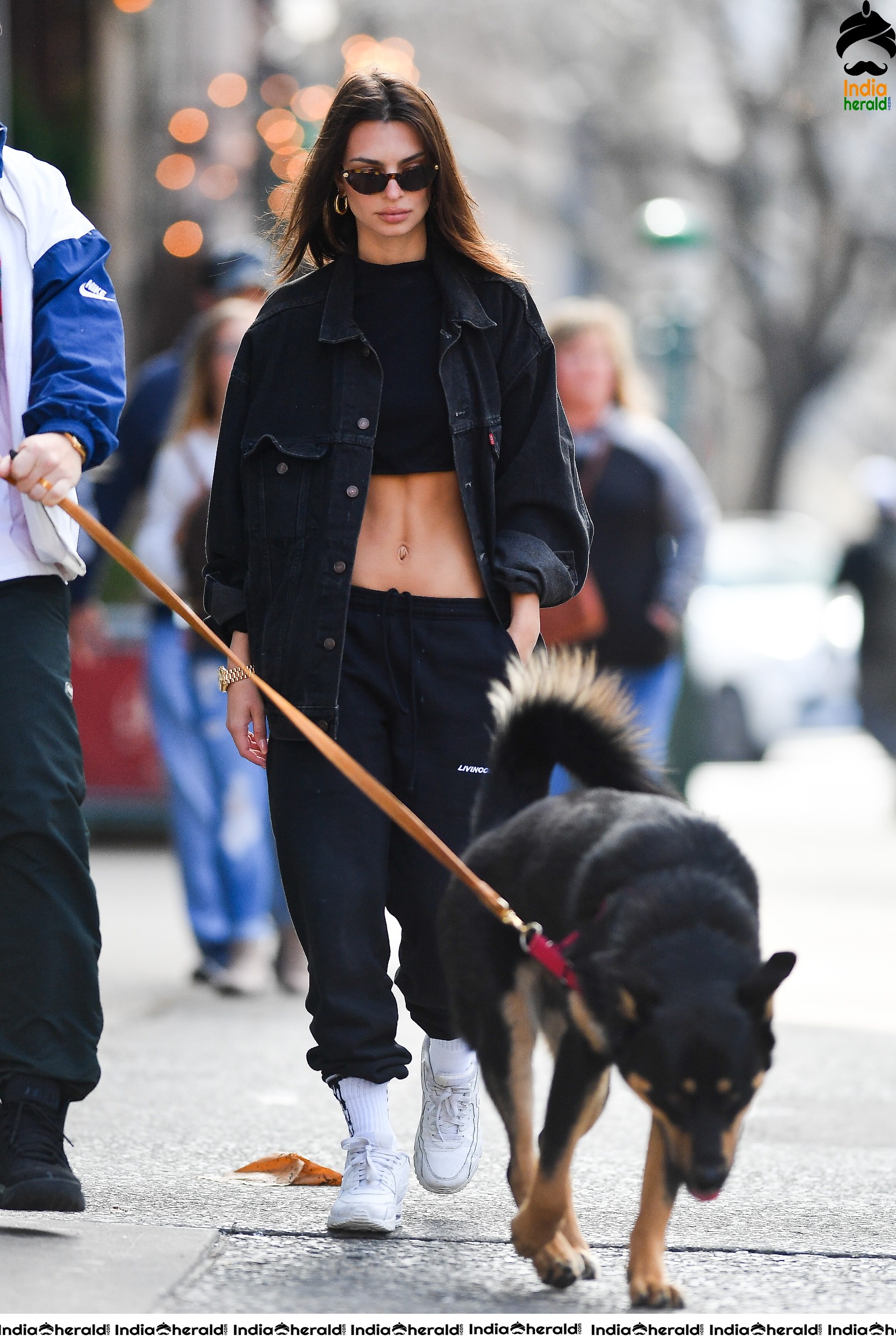 Emily Ratajkowski flaunts her sexy abs while talking a walk with her Dog in New York