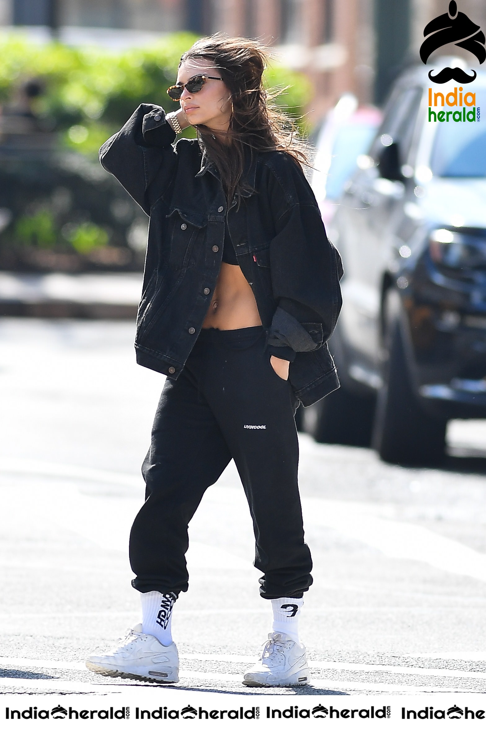 Emily Ratajkowski flaunts her sexy abs while talking a walk with her Dog in New York