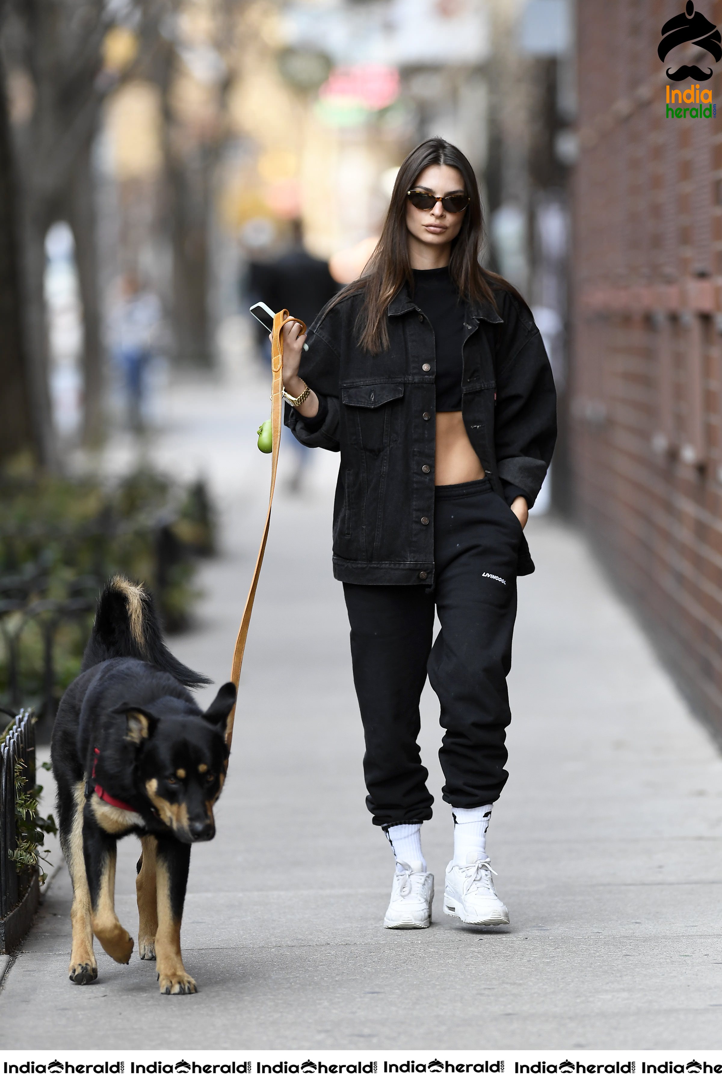 Emily Ratajkowski flaunts her sexy abs while talking a walk with her Dog in New York