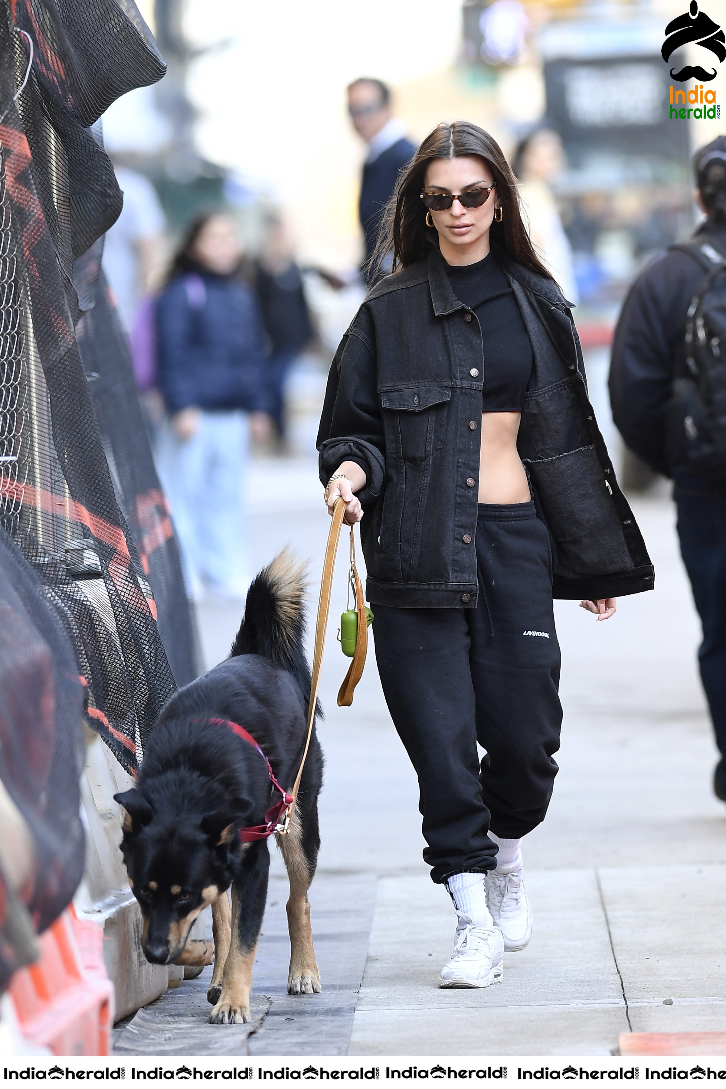 Emily Ratajkowski flaunts her sexy abs while talking a walk with her Dog in New York