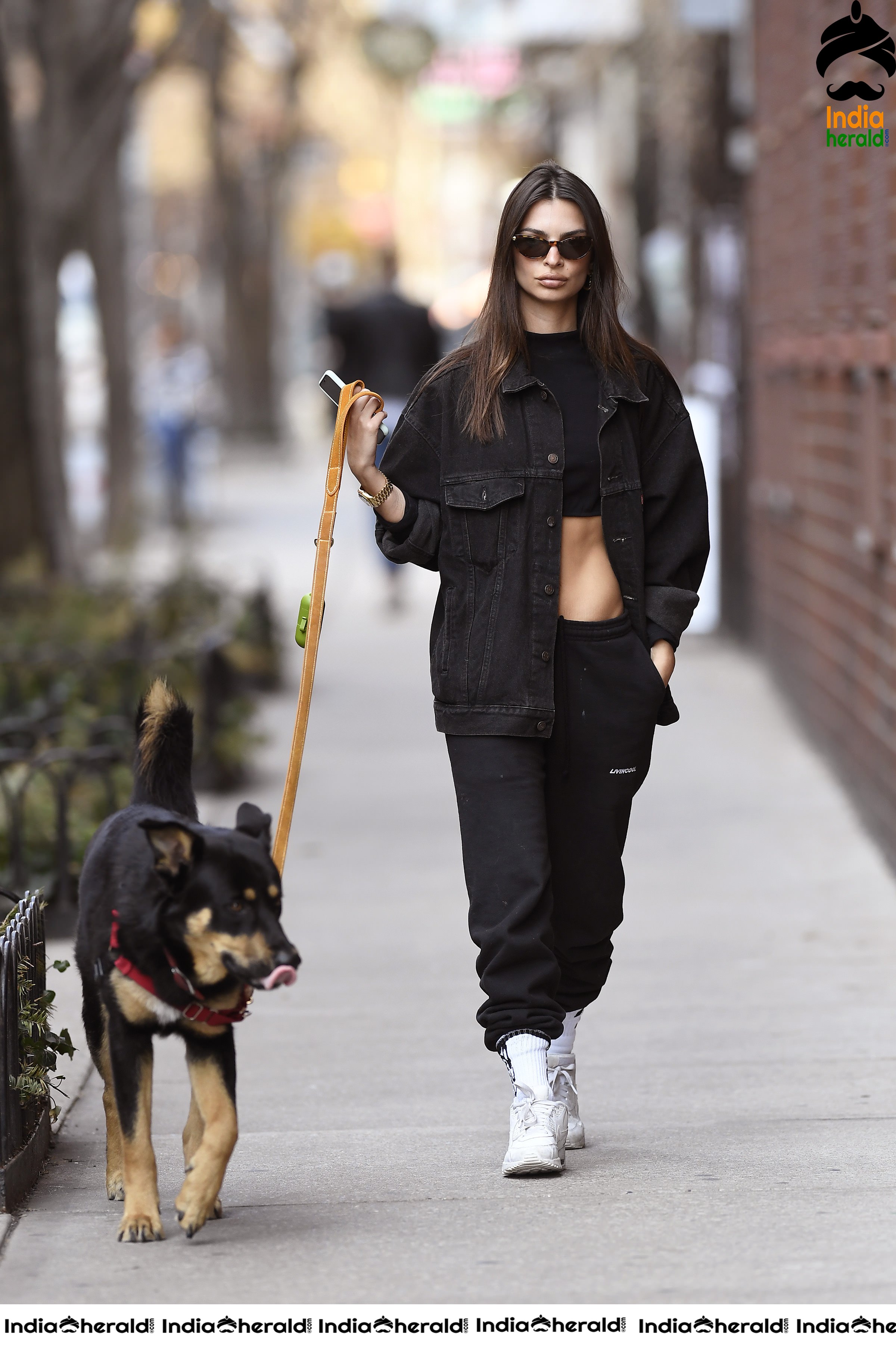 Emily Ratajkowski flaunts her sexy abs while talking a walk with her Dog in New York