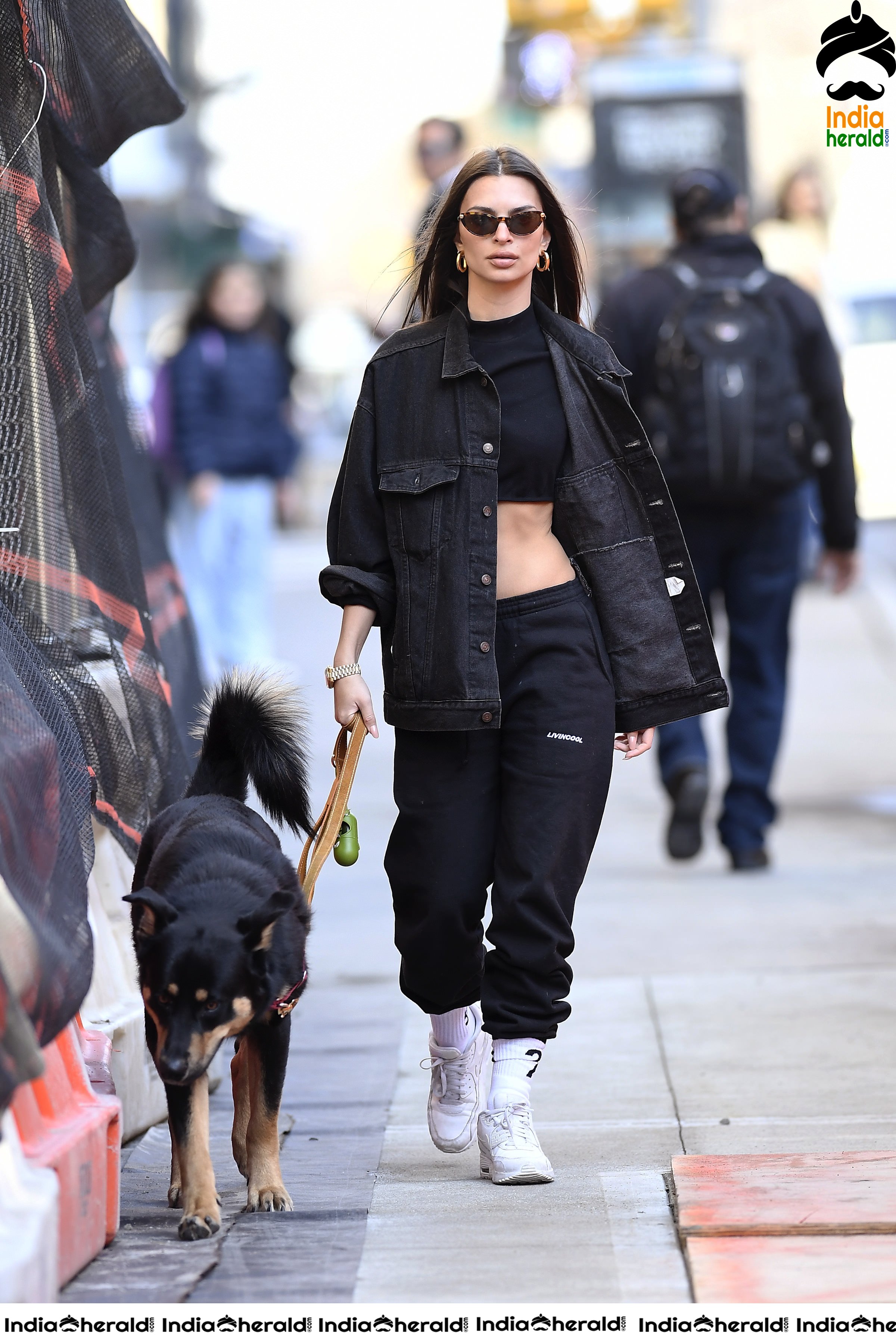 Emily Ratajkowski flaunts her sexy abs while talking a walk with her Dog in New York