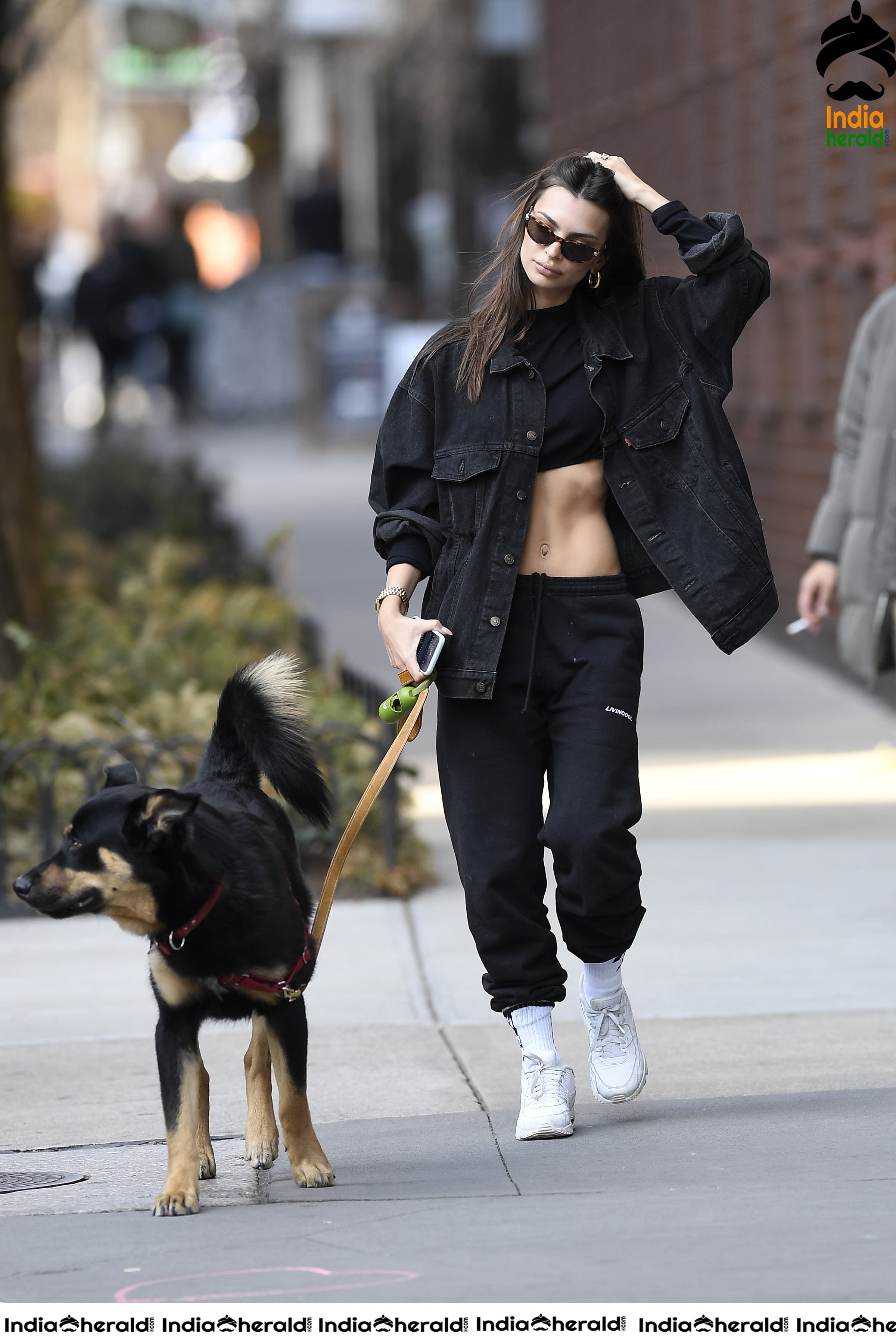 Emily Ratajkowski flaunts her sexy abs while talking a walk with her Dog in New York