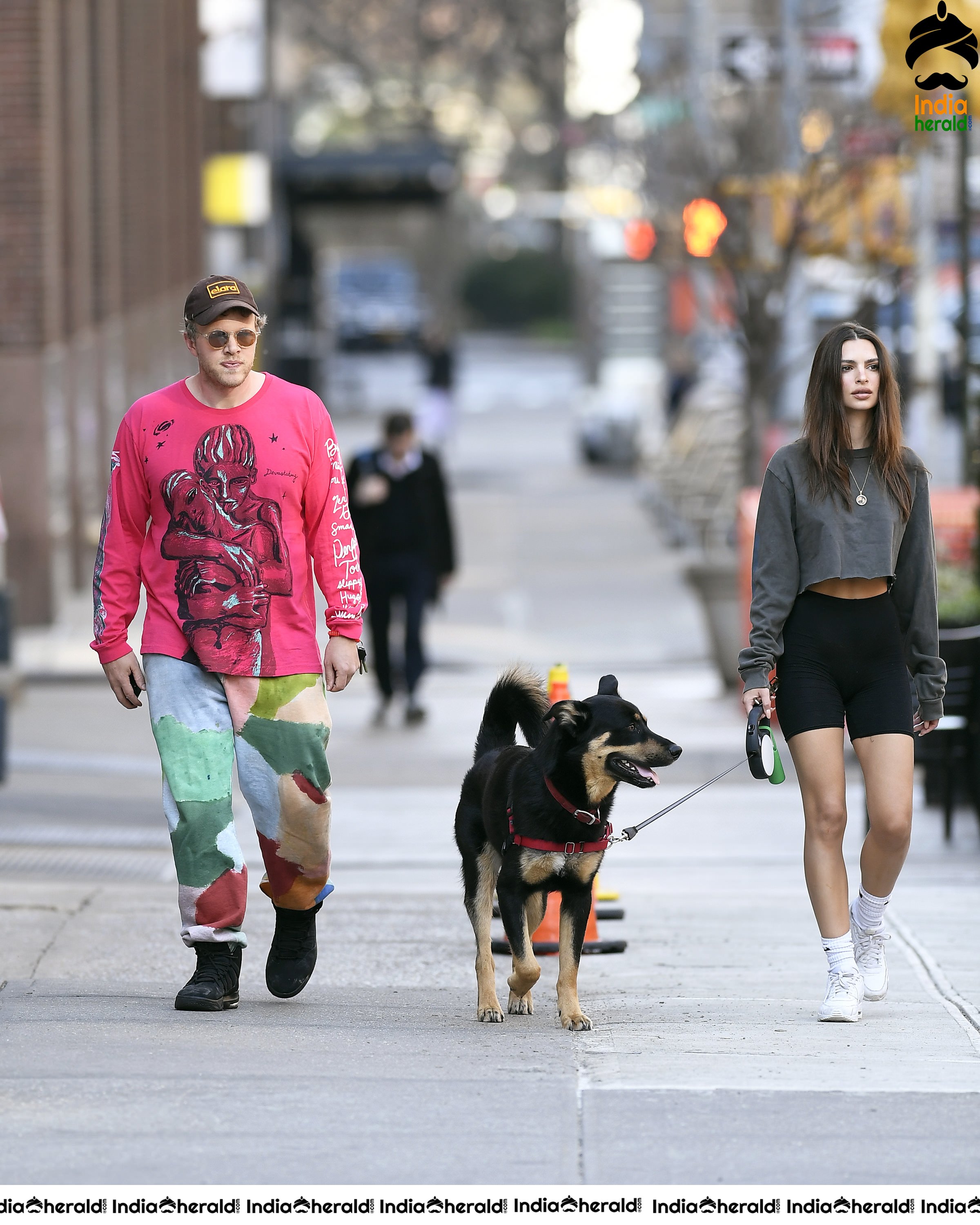 Emily Ratajkowski in short top and caught by Paparazzi whilewalking her dog in NYC