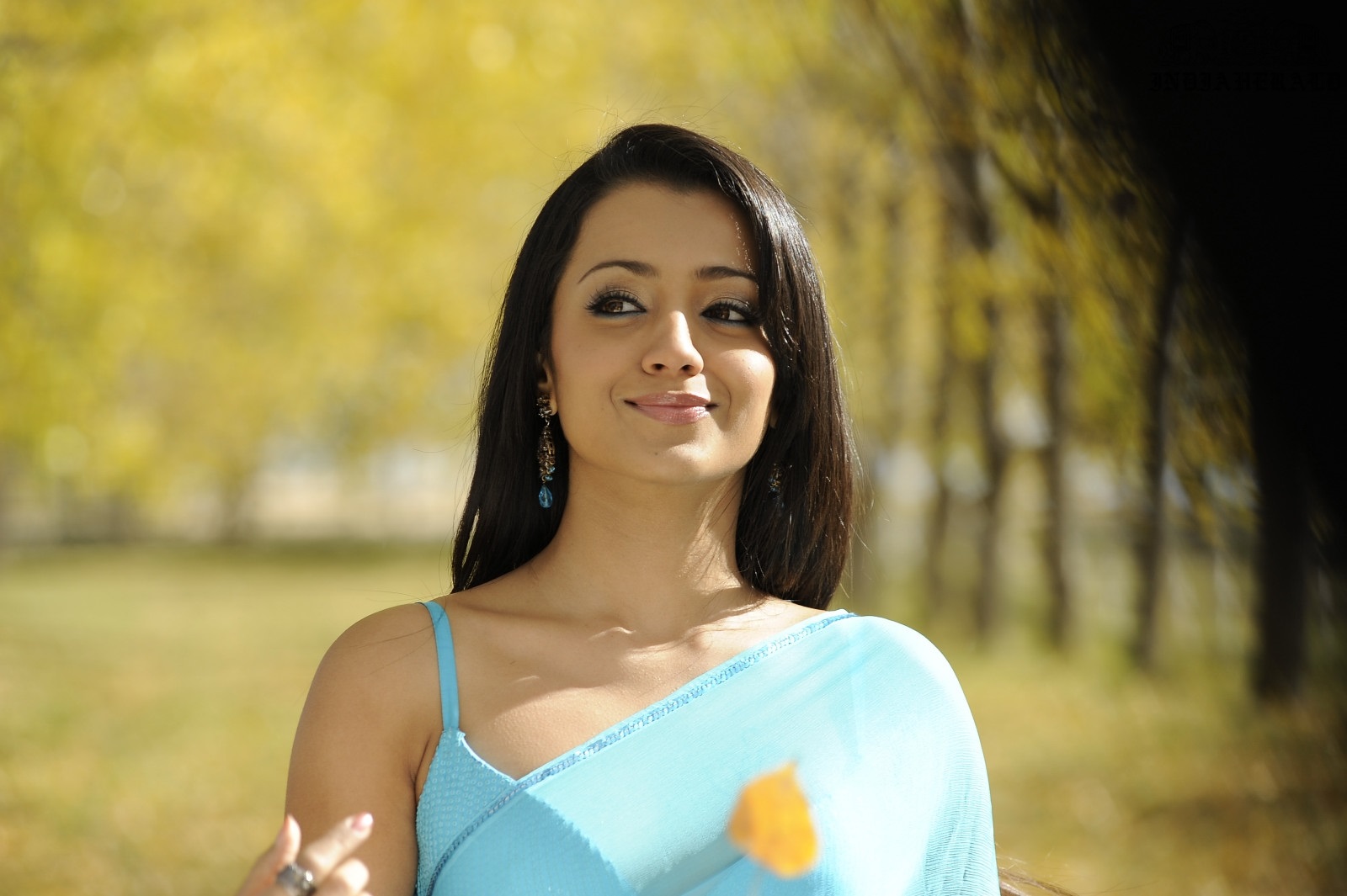 Hot photos of Trisha exposing her Inner Beauty in a Transparent Saree