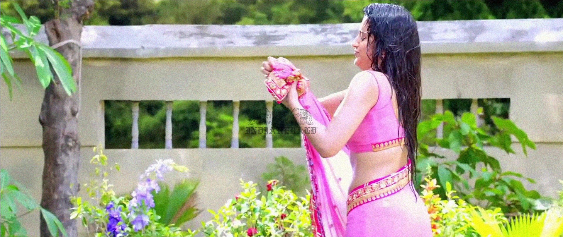 Hottest Photos of Trisha Getting Wet and Stripping Her Saree Set 2