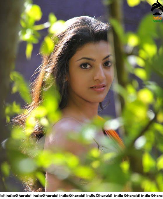 Kajal Aggarwal Exposes her Busty Assets and Hot Hip Curves in Saree in these Hot Photos Set 2