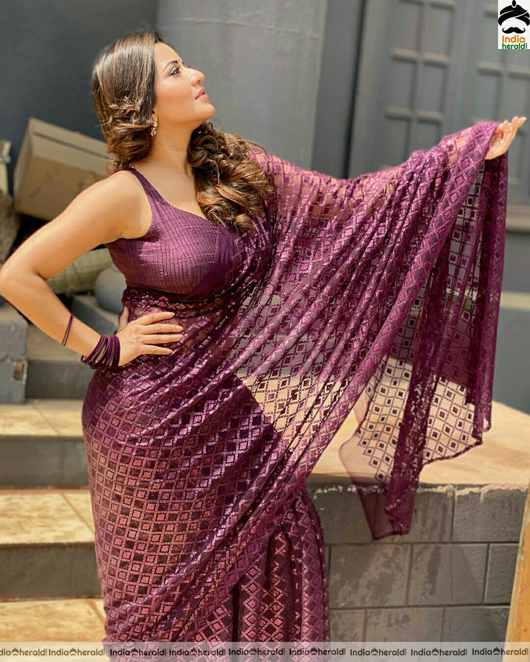 Monalisa Hot Transparent Net Saree Stills