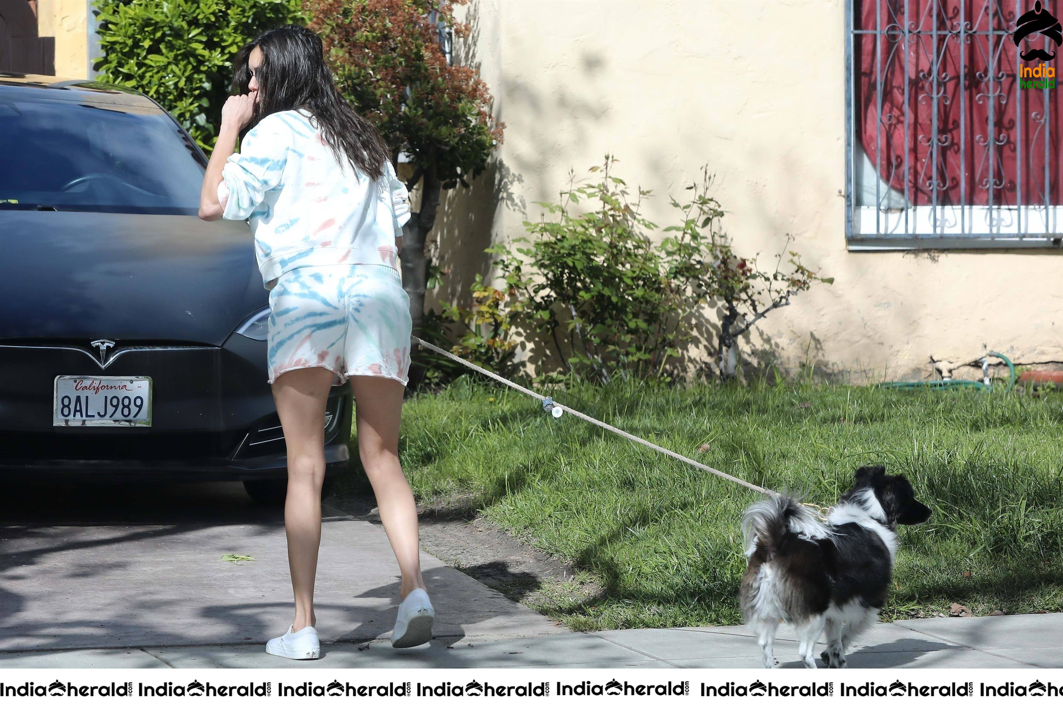 Nina Dobrev shows her Thighs while walking her dog in Los Angeles