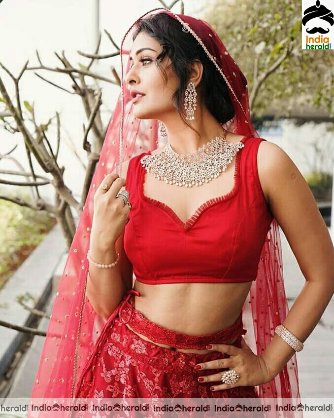 Payal Rajput Red Hot Waist and Navel Photos