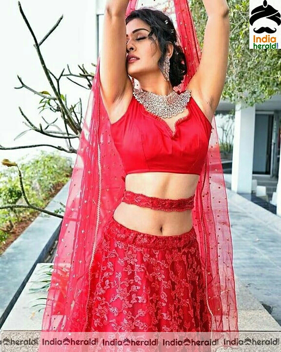 Payal Rajput Red Hot Waist and Navel Photos