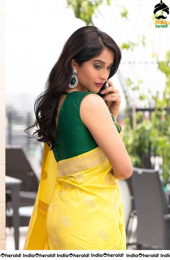 Regina Cassandra Latest Hot Photos in Saree and Sleeveless Blouse