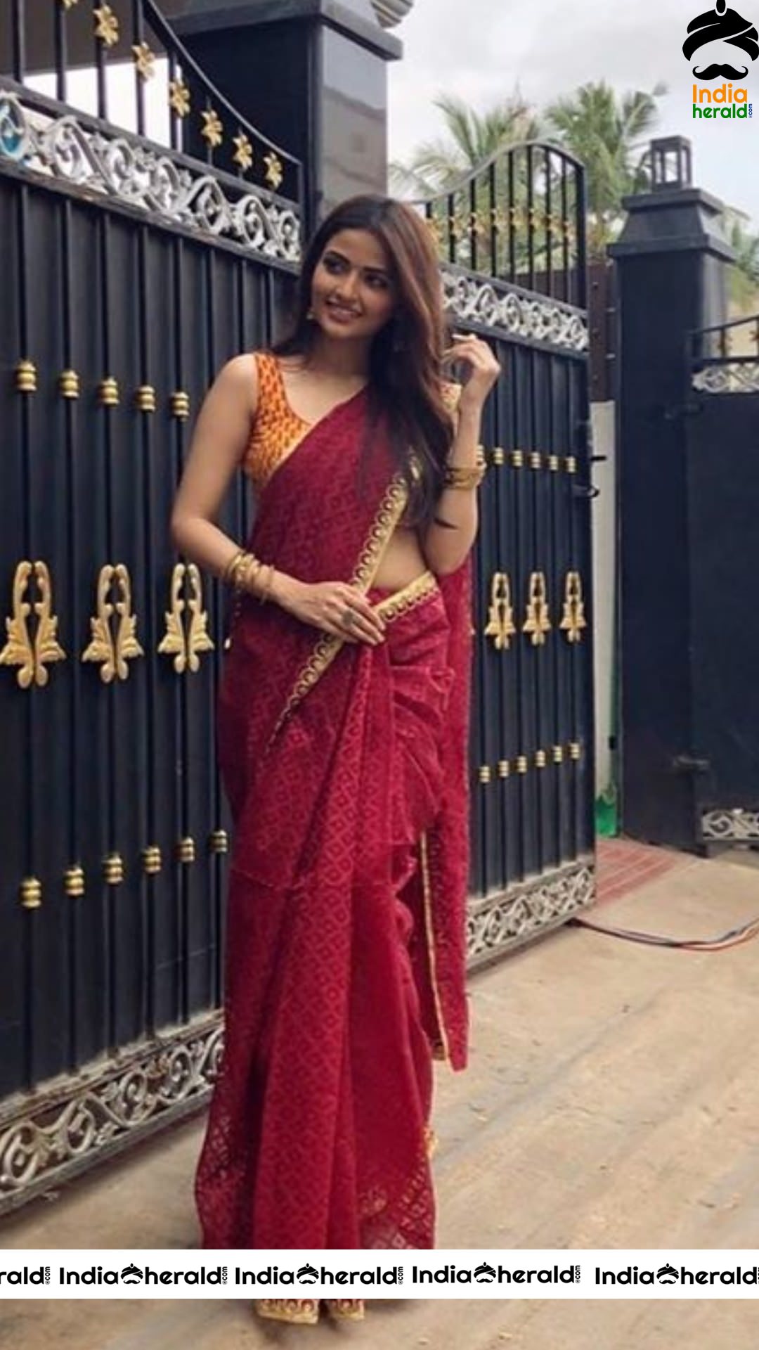 Shirin Kanchwala Hot Stills In Saree Set 1