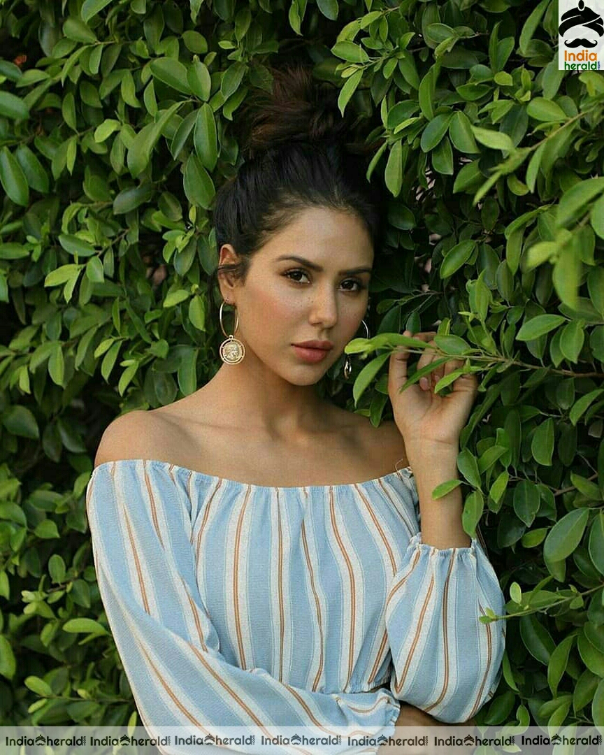 Sonam Bajwa Hot Compilation Stills