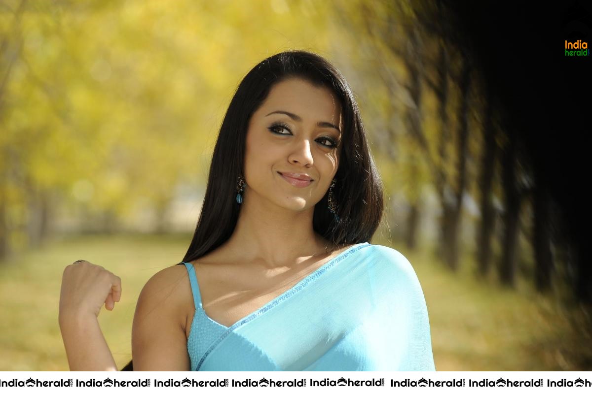 Trisha Hot Compilation Photos in Transparent Saree