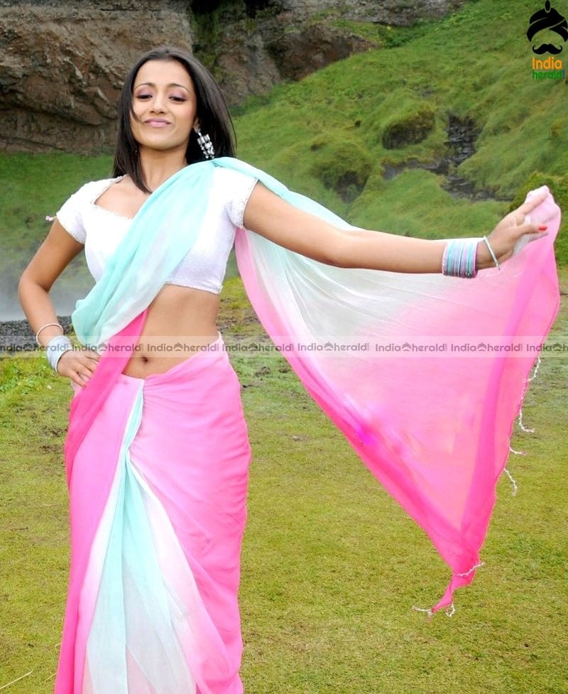 Trisha Hot Photos in Saree exposing her Fleshy Stomach and Deep Navel Set 2