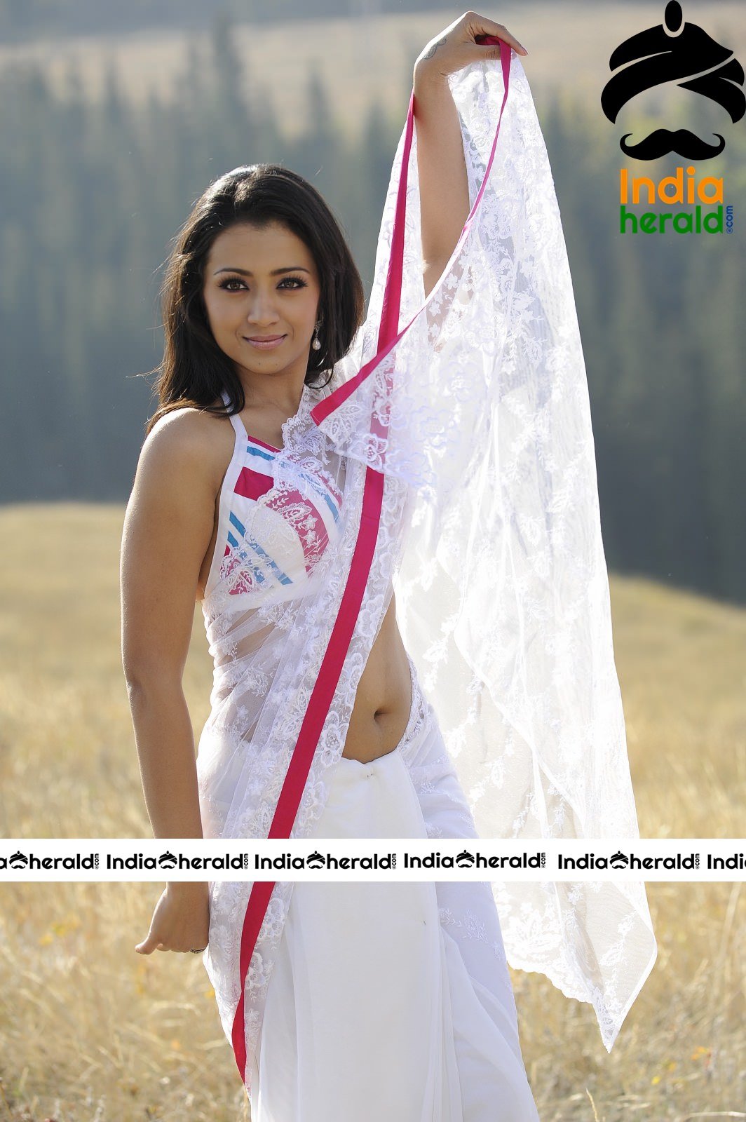 Trisha Showing Her Tempting Hot Waist And Deep Navel In White Transparent Saree Set 2