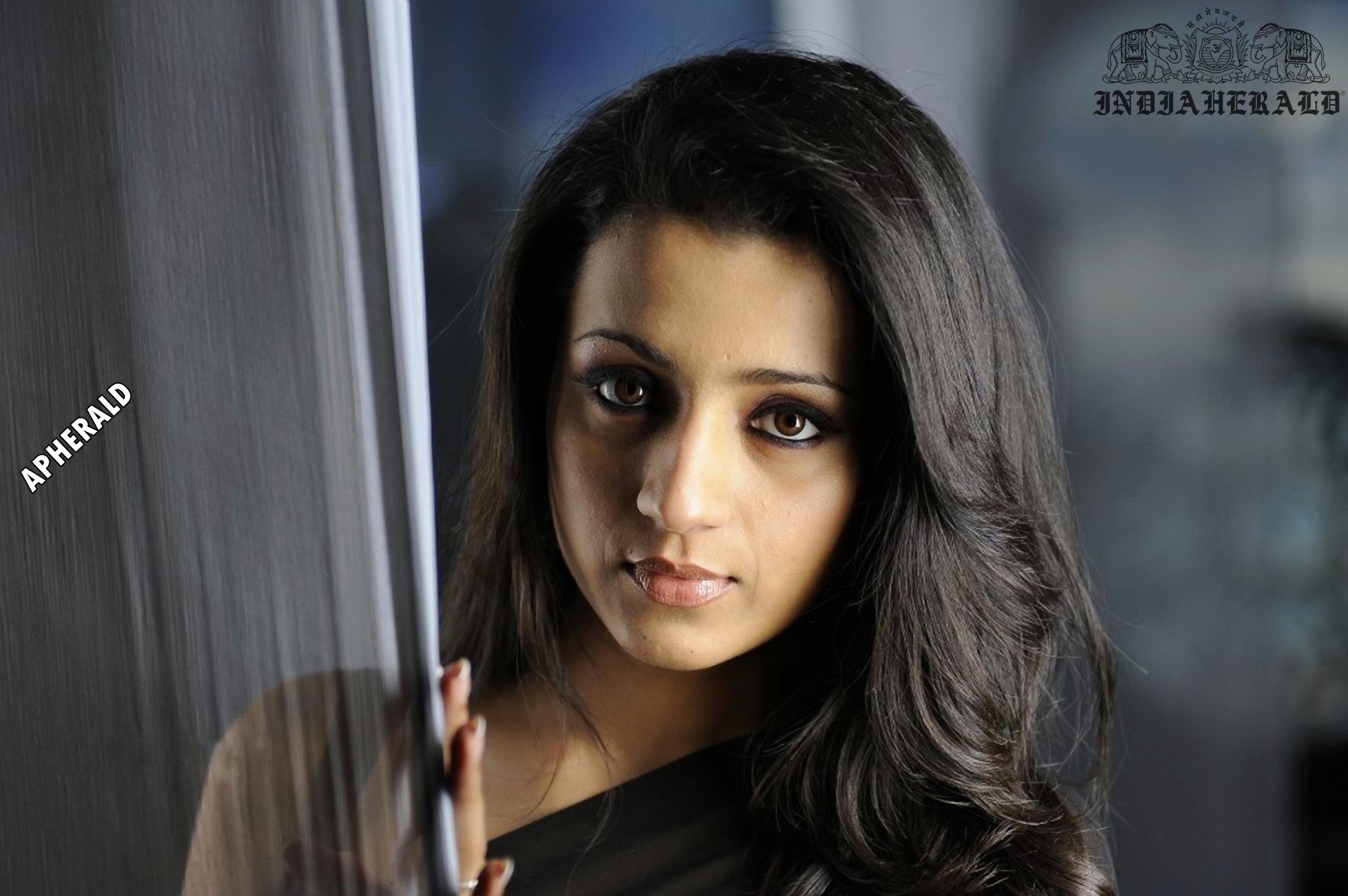 Trisha tempts our mood by exposing her navel and waist in Black transparent saree Set 2