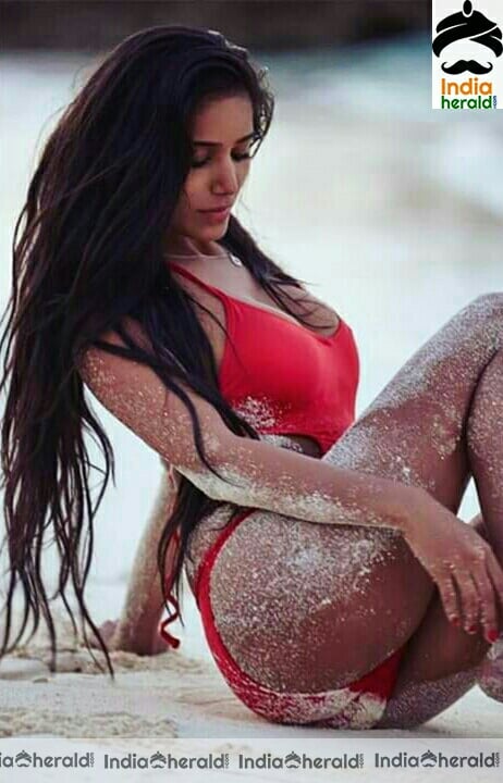 Poonam Pandey Hottest bikini photos to tease our mood