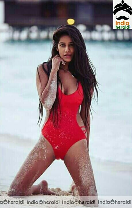 Poonam Pandey Hottest bikini photos to tease our mood