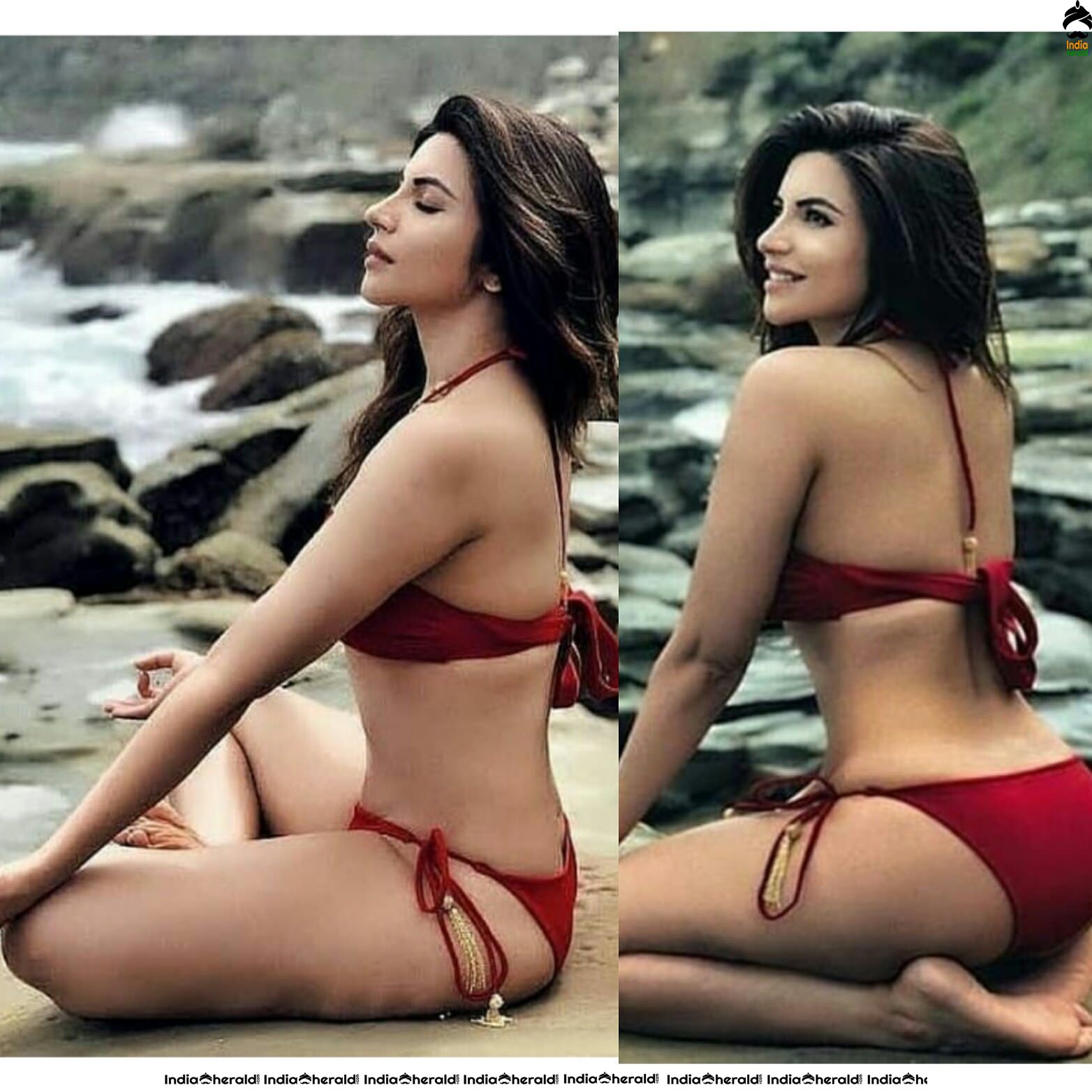 Shama Sikander Hot Exposing Bikini and Lingerie Photos Collection Set 3